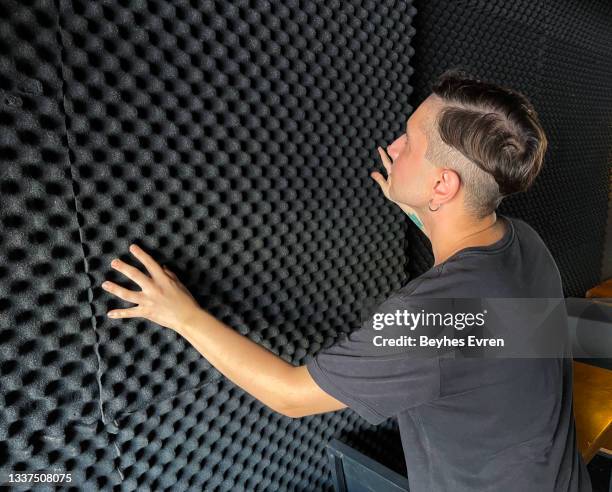 acoustic foam - panal stock pictures, royalty-free photos & images