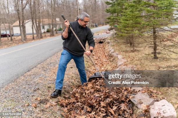 bénévolat communautaire. homme de 50 ans portant une queue de cheval nettoyant la gouttière le long d’une route de vieilles feuilles. - 50 54 years photos et images de collection