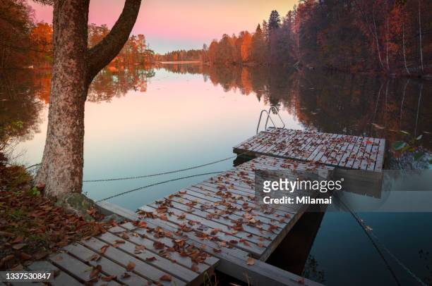autumn forest lake at evening, red leaves, finland - autumn finland stock pictures, royalty-free photos & images