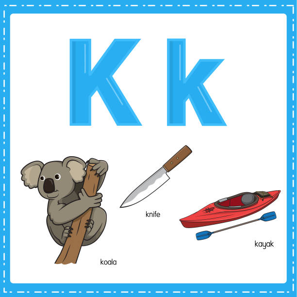 vector illustration for learning the letter k in both lowercase and uppercase for children with 3 cartoon images. koala knife kayak. - zoo art stock illustrations
