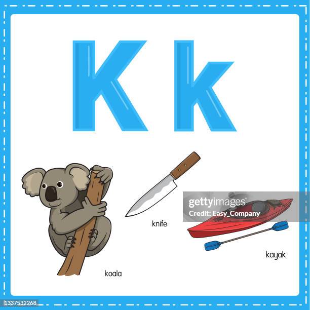 vector illustration for learning the letter k in both lowercase and uppercase for children with 3 cartoon images. koala knife kayak. - australian cafe stock illustrations