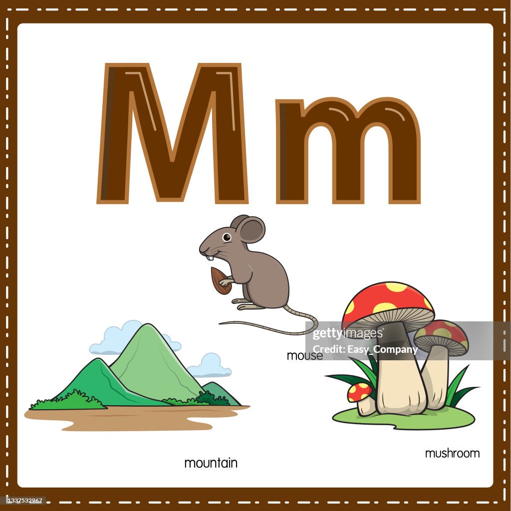 Vector illustration for learning the letter M in both lowercase and uppercase for children with 3 cartoon images. Mountain Mouse Mushroom.