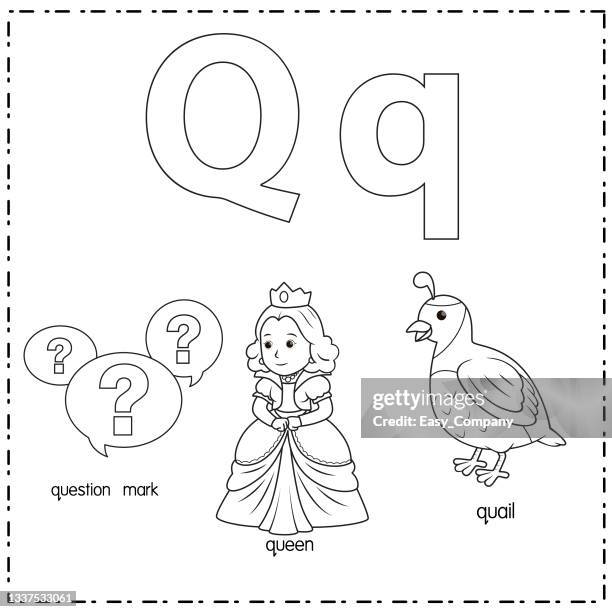 vector illustration for learning the letter q in both lowercase and uppercase for children with 3 cartoon images. question mark queen quail. - quail egg isolated stock illustrations