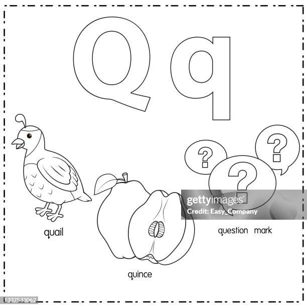 vector illustration for learning the letter q in both lowercase and uppercase for children with 3 cartoon images. question mark queen quail. - question answer stock illustrations
