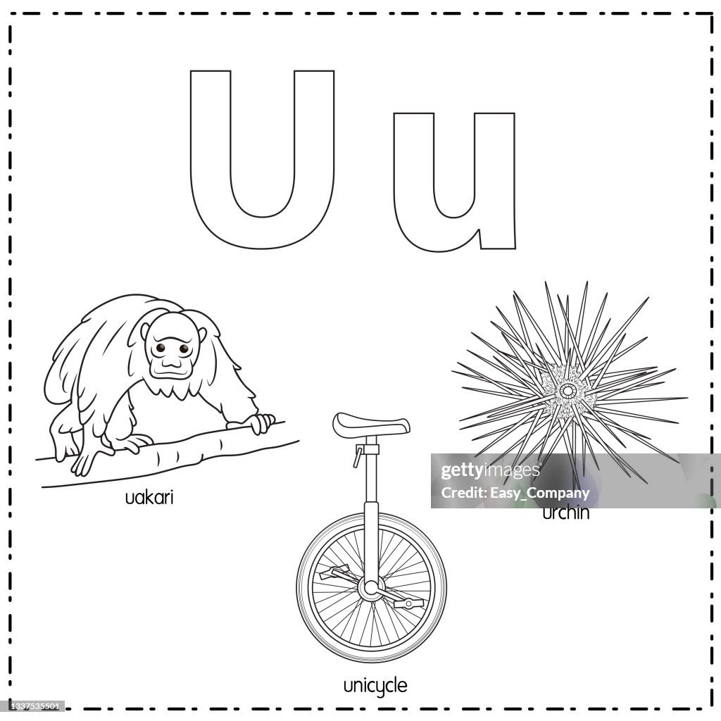 Ilustração vetorial para aprender a letra U tanto na minúscula quanto na maiúscula para crianças com 3 imagens de desenho animado. Uakari Unicycle Ourchin .