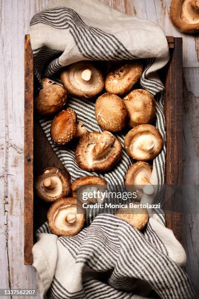 fresh shiitake mushrooms in old wooden box - shiitake mushroom stock pictures, royalty-free photos & images