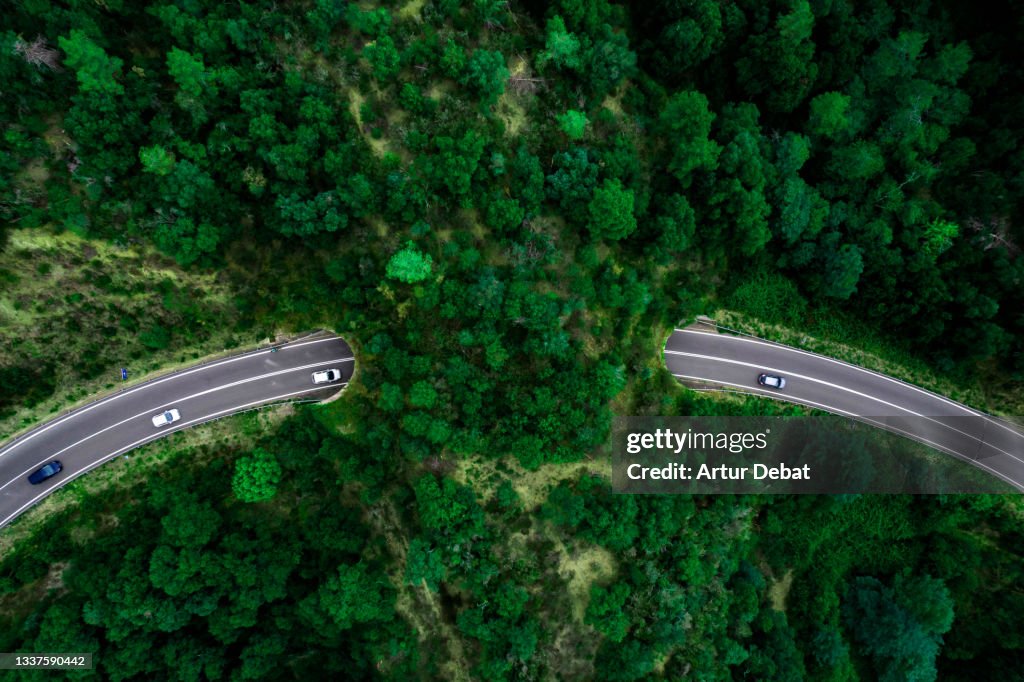 Aerial view of green bridge corridor for wildlife to cross highway safely.