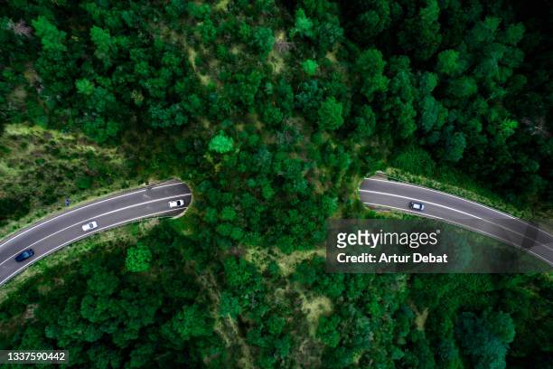 aerial view of green bridge corridor for wildlife to cross highway safely. - échangeur photos et images de collection