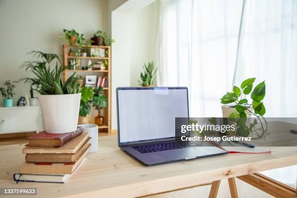 home office in a wooden furniture house with plants and white curtains on the background - roman bridge stockfoto's en -beelden