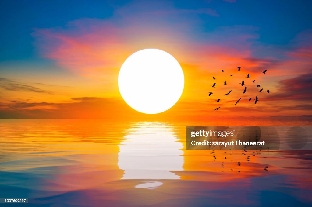 The big sun at dawn on the sea with beautiful reflections and flocks of birds in flight.