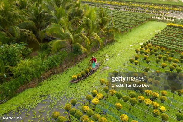 vietnam cultural - sa dec flower village, the flower capital of the mekong delta - aerial view - vietnam stock pictures, royalty-free photos & images