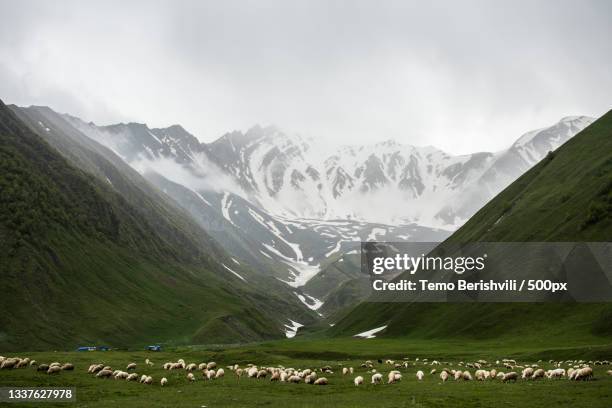 scenic view of mountains against sky,resi,georgia - caucasus stock pictures, royalty-free photos & images