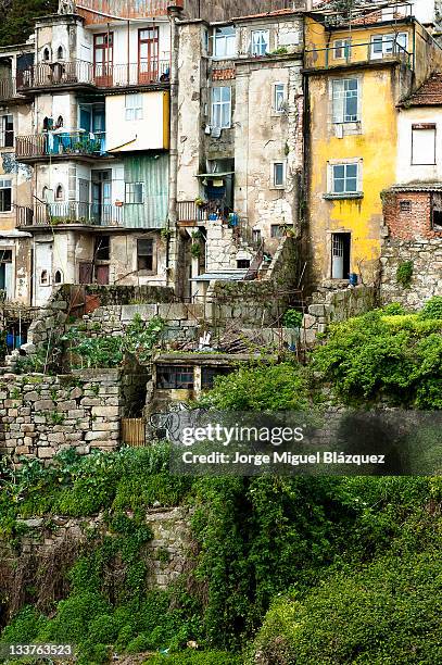 old buildings and trees in porto,portugal - jorge miguel blázquez fotografías e imágenes de stock