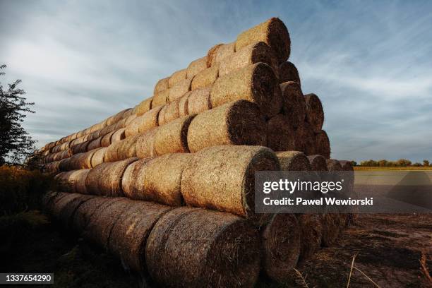 hay stacks - bale ストックフォトと画像