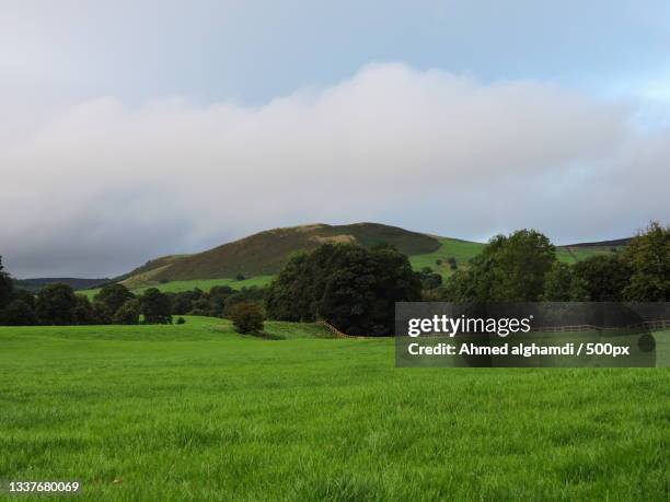 scenic view of field against sky - ahmed alghamdi stock pictures, royalty-free photos & images