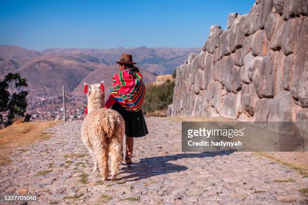 une femme péruvienne portant des vêtements nationaux marchant avec un lama près de cuzco - femme perou photos et images de collection
