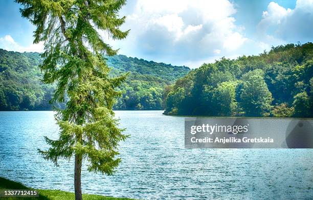 moraine state park is a pennsylvania, usa - moräne stock-fotos und bilder