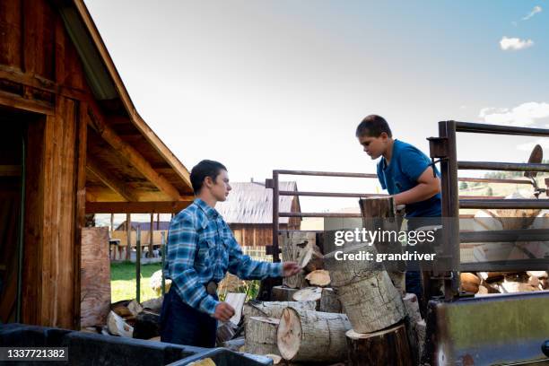 two brothers stacking firewood preparing for cold temperatures in the winter time at a ranch near telluride western colorado - mt wilson colorado stock pictures, royalty-free photos & images