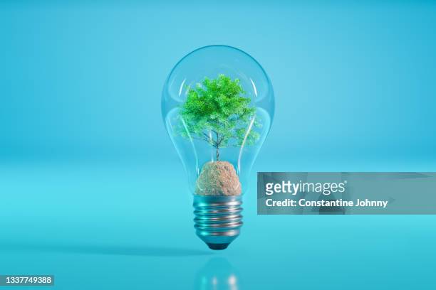 tree inside a light bulb. green energy concept. - energy efficient lightbulb bildbanksfoton och bilder