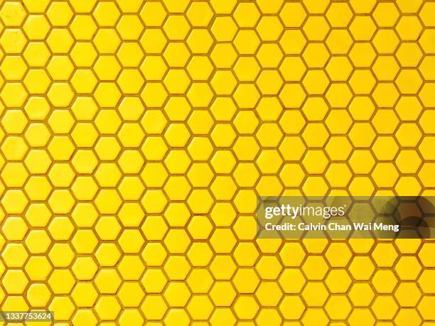 yellow hexagon wall tiles - bee hive ストックフォトと画像