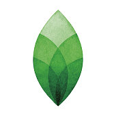 Watercolor Green Leaf Logo