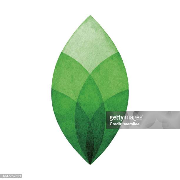 watercolor green leaf logo - organic stock illustrations