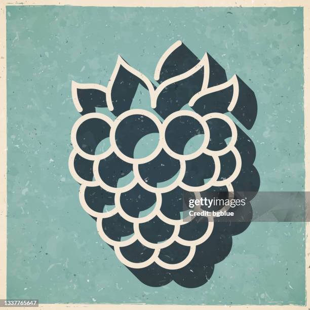 raspberry. icon in retro vintage style - old textured paper - blue raspberry stock illustrations
