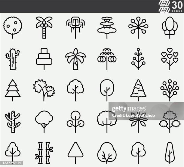 stockillustraties, clipart, cartoons en iconen met tree , wood , plant line icons - cedar tree