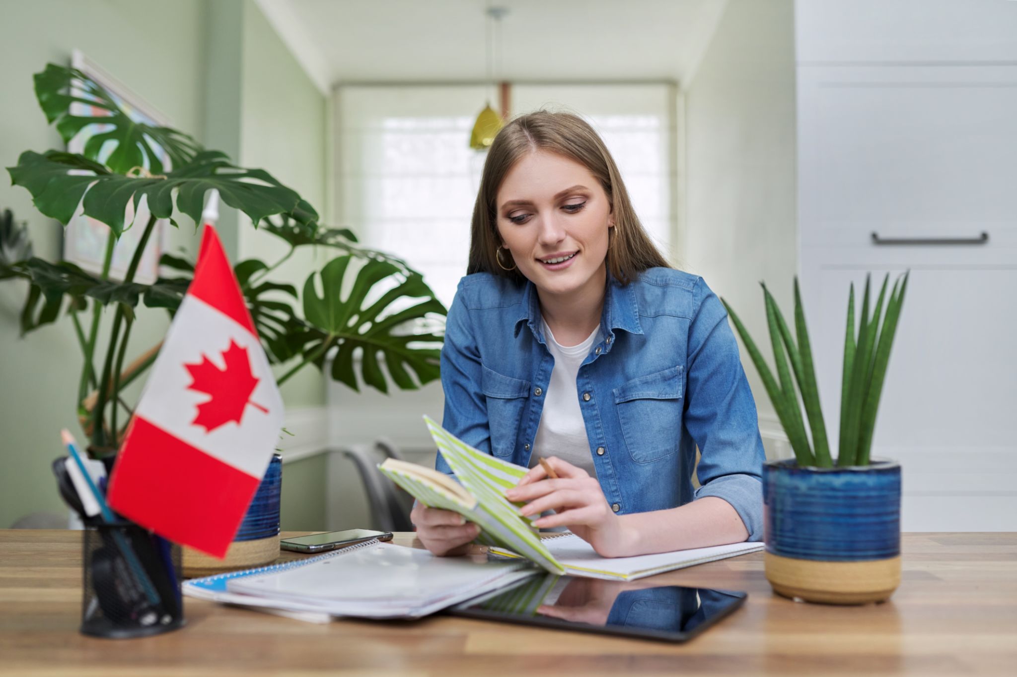 ottawa online classes