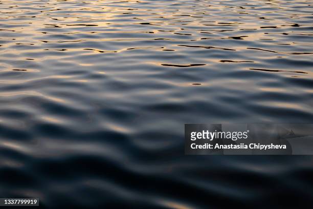water surface - water surface stock-fotos und bilder