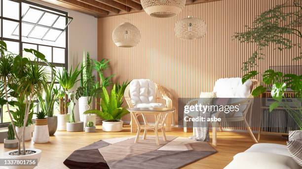 cozy living room with bamboo furniture and green plants - bamboo material stock pictures, royalty-free photos & images