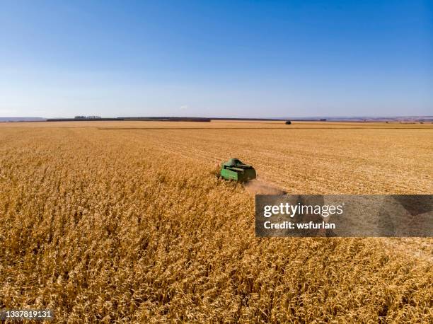 corn combine harvester - corn harvest 個照片及圖片檔