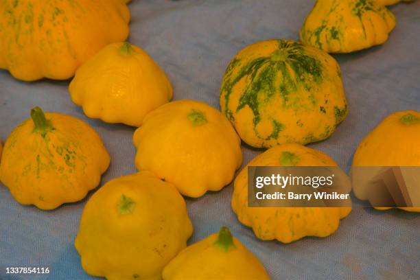 pattypan squash for sale - pattypan squash imagens e fotografias de stock