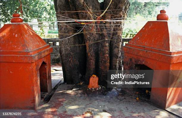 Shalini Saran/ INDIAPICTURE/Universal Images Group via Getty Images)