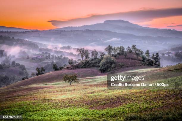 Toano 272 Toano Stock Photos, High-Res Pictures, and Images - Getty Images