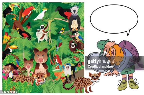 stockillustraties, clipart, cartoons en iconen met scientist in tropical rainforest - harpies