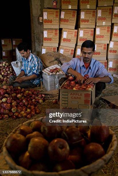 Apple packing.