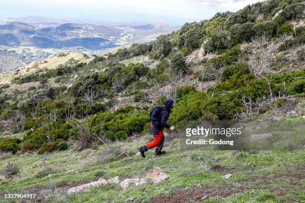 Trekker walking up Arcuentu mountain, Sardinia, Italy.