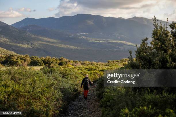 Trekker walking down from Arcuentu mountain, Sardinia, Italy.