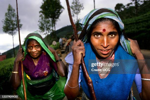 Women. Sri Lanka. Asia.