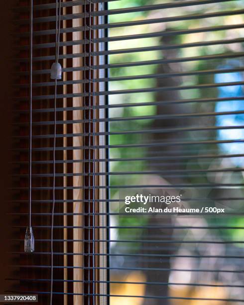 a woman looking through window,edmonton,alberta,canada - edmonton house stock pictures, royalty-free photos & images