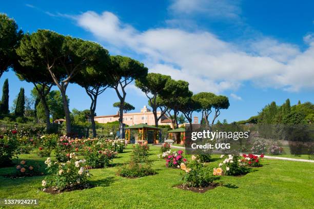 Rose Graden Rome Rose Garden Rome Photos and Premium High Res Pictures - Getty Images