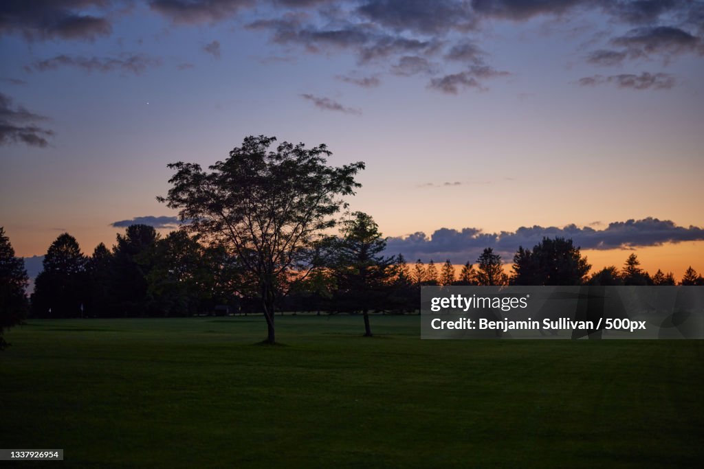 Trees on field against sky during sunset