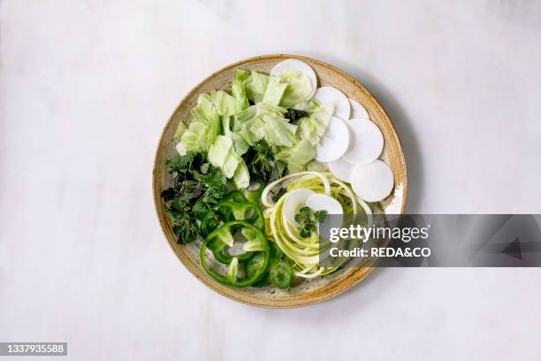 Fresh green raw vegetables and herbs spaghetti zucchini. White radish. Green paprika. Ice salad for cooking vegan dinner salad. Ceramic plate on...