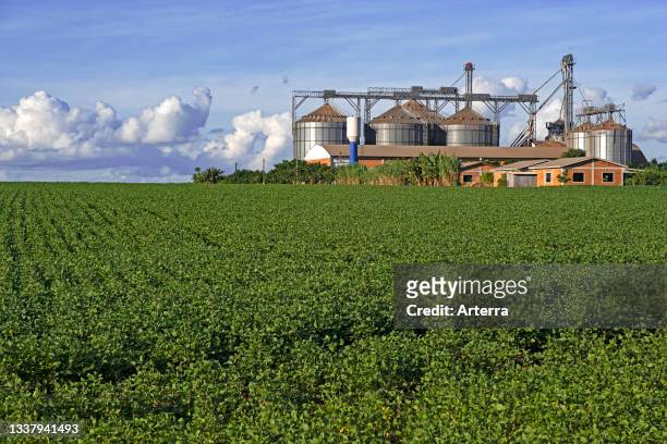 Farm with large Comil silos to store harvested soyabeans. Soya beans in the middle of soybean fields in rural Alto Paran‡, Paraguay.
