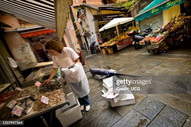 Fish Shop, Caruggi, Genoa, Italy.