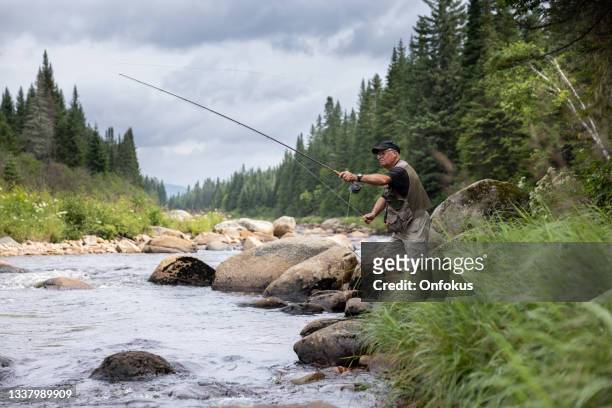 senior man pesca a mosca nel fiume in quebec - lenza foto e immagini stock