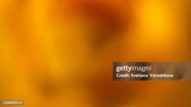 mobile abstract photography of yellow rose flower. - salvaschermo foto e immagini stock