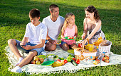 Teenager addicting in phone on family picnic