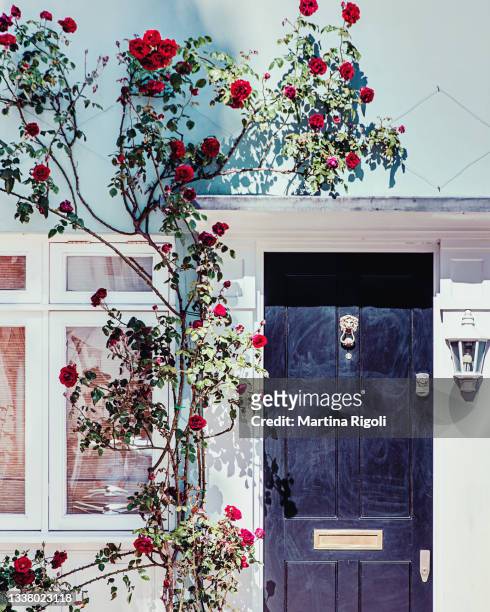 lovely house facade with blue wall and red roses in notting hill, london - blue house red door stock pictures, royalty-free photos & images
